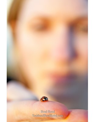 Brad Reed's Day 81 of 365 