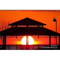 Todd Reed\'s Day 82 of 365 