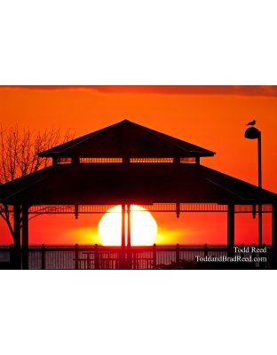 Todd Reed's Day 82 of 365 