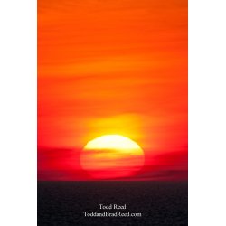 Todd Reed\'s Day 83 of 365 