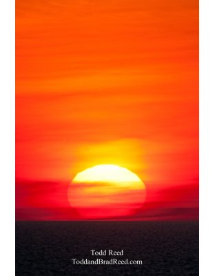 Todd Reed's Day 83 of 365 