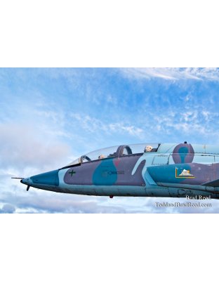 Brad Reed's Day 84 of 365 