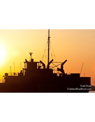 Todd Reed's Day 85 of 365 