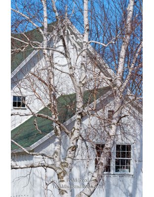 Todd Reed's Day 87 of 365 