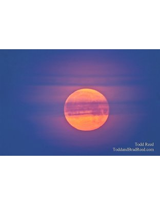 Todd Reed's Day 89 of 365 