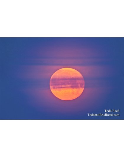 Todd Reed's Day 89 of 365 