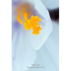 Todd Reed\'s Day 90 of 365 