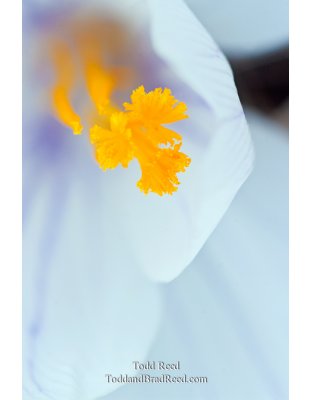 Todd Reed's Day 90 of 365 