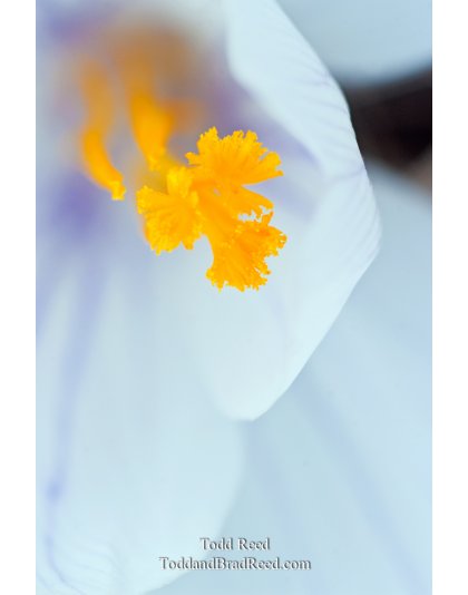 Todd Reed's Day 90 of 365 