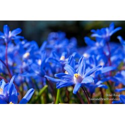 Brad Reed\'s Day 91 of 365 