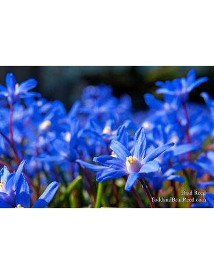 Brad Reed's Day 91 of 365 