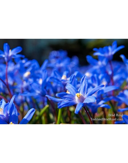 Brad Reed's Day 91 of 365 