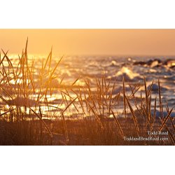 Todd Reed\'s Day 92 of 365 