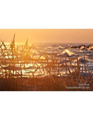 Todd Reed's Day 92 of 365 