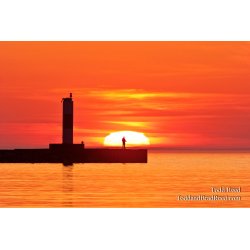 Todd Reed\'s Day 101 of 365 