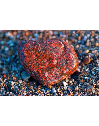 Todd Reed's Day 107 of 365 