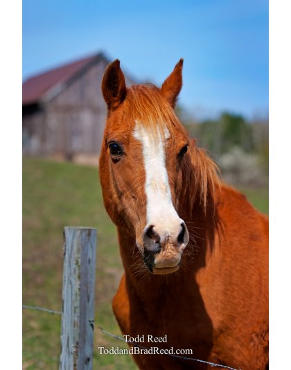 Todd Reed's Day 111 of 365 