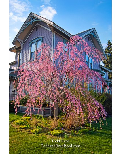 Todd Reed's Day 112 of 365 