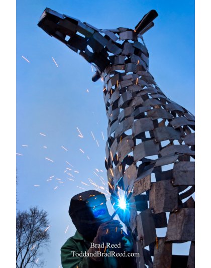 Brad Reed's Day 113 of 365 