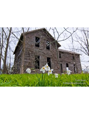 Todd Reed's Day 119 of 365 