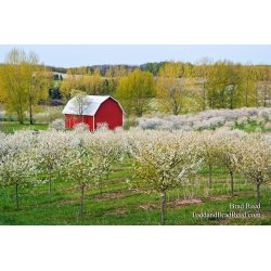Brad Reed\'s Day 119 of 365 