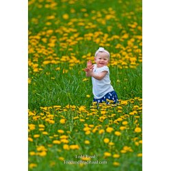 Todd Reed\'s Day 120 of 365 