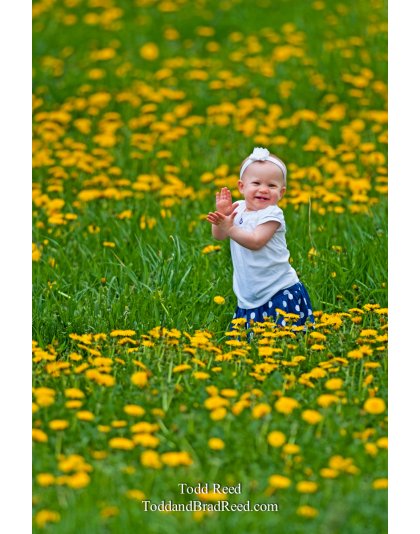 Todd Reed's Day 120 of 365 