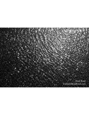 Brad Reed's Day 121 of 365 