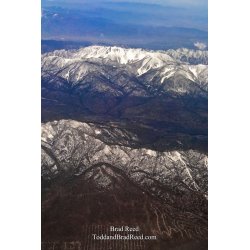 Brad Reed\'s Day 122 of 365 