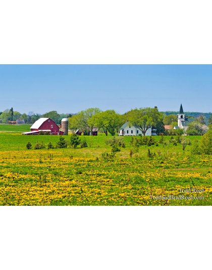 Todd Reed's Day 123 of 365 