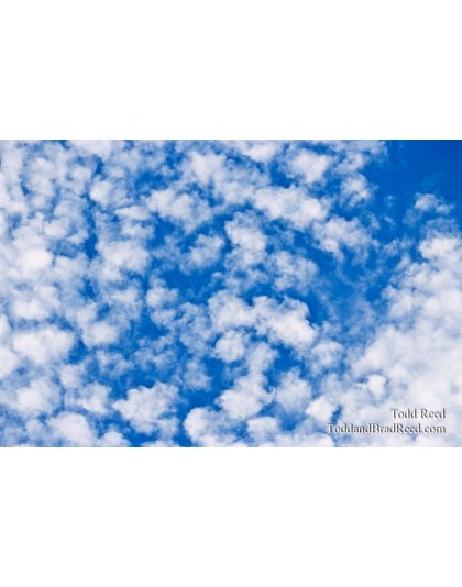 Todd Reed's Day 124 of 365 