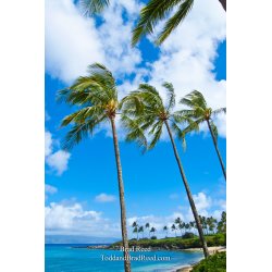 Brad Reed\'s Day 124 of 365 