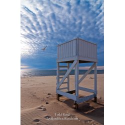 Todd Reed\'s Day 126 of 365 