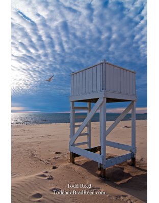 Todd Reed's Day 126 of 365 