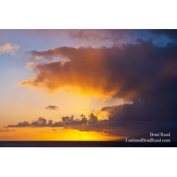 Brad Reed\'s Day 126 of 365 