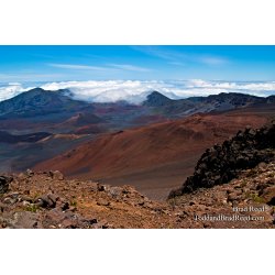 Brad Reed\'s Day 127 of 365 