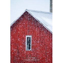 Todd Reed\'s Day 128 of 365 