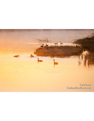 Todd Reed's Day 130 of 365 