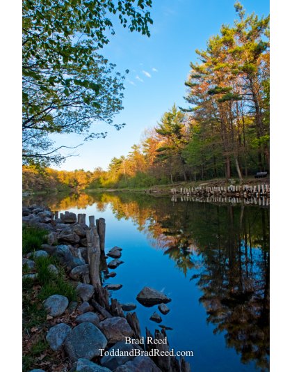 Brad Reed's Day 136 of 365 