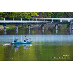 Todd Reed\'s Day 137 of 365 