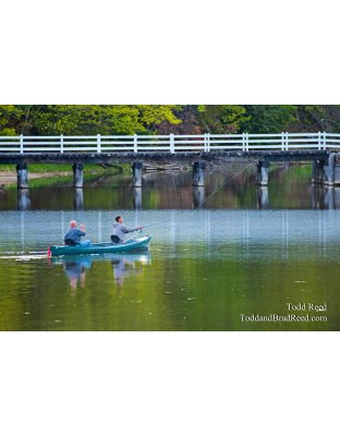 Todd Reed's Day 137 of 365 