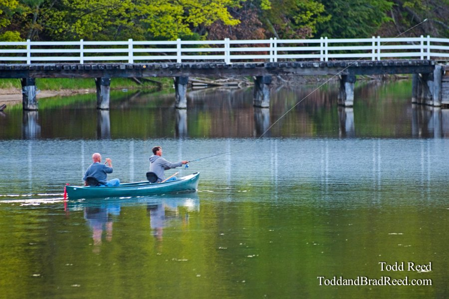 Todd Reed's Day 137 of 365 
