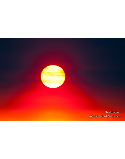 Todd Reed's Day 138 of 365 