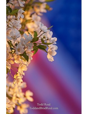 Todd Reed's Day 139 of 365 