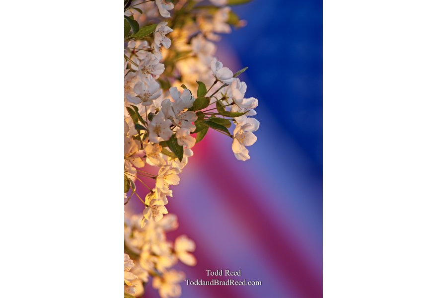 Todd Reed's Day 139 of 365 
