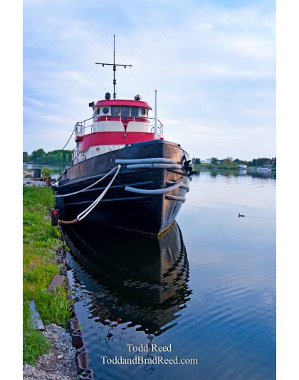 Todd Reed's Day 140 of 365 