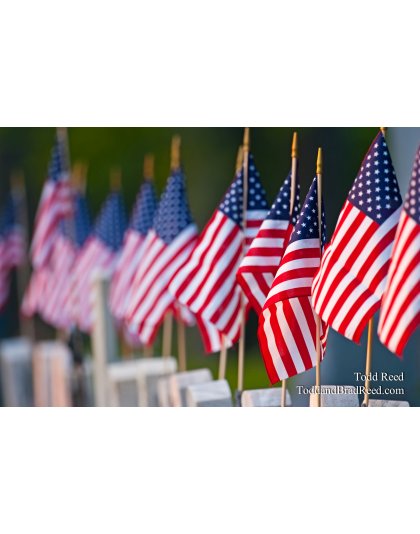 Todd Reed's Day 144 of 365 