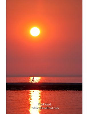 Brad Reed's Day 144 of 365 