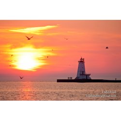 Todd Reed\'s Day 145 of 365 