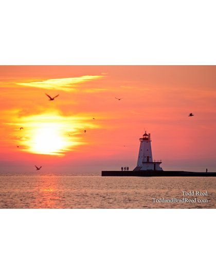 Todd Reed's Day 145 of 365 